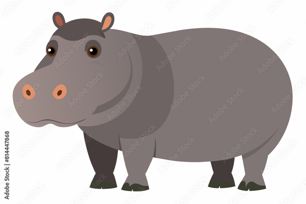 hippopotamus cartoon vector illustration hippopotamus cartoon vector illustration