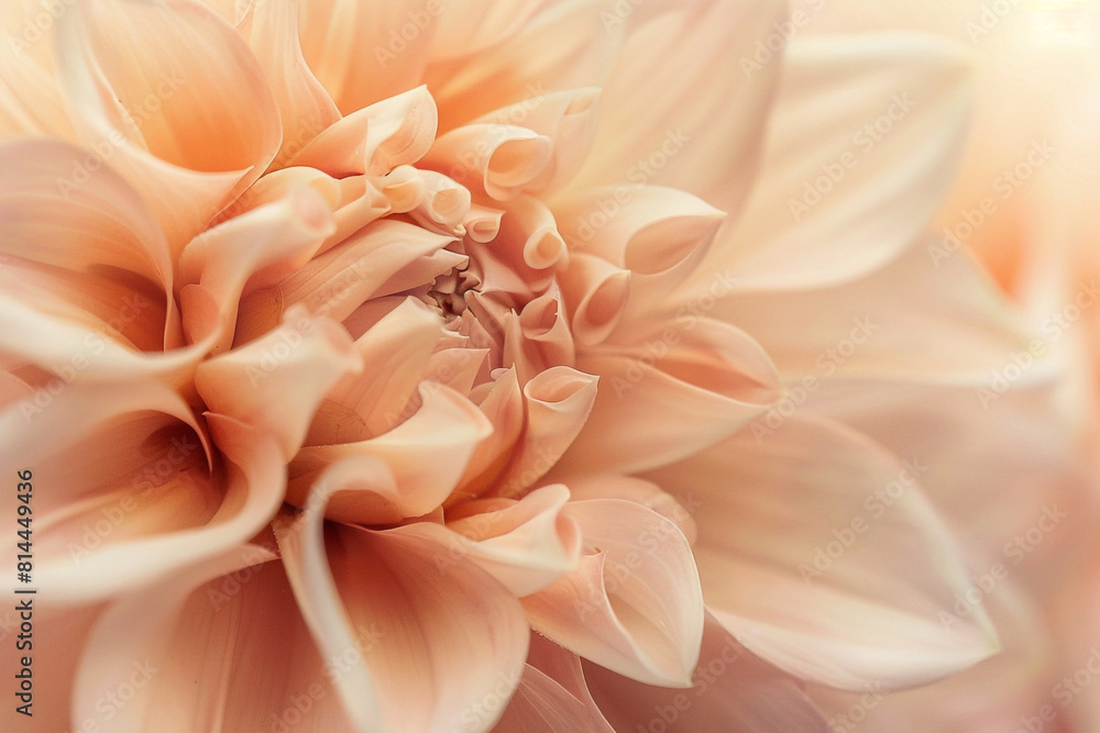 A closeup macro texture of a flower in soft beige pastel tones, creating a serene and aesthetically pleasing background ideal for design and art projects A closeup macro texture of a flower in soft beige pastel tones, creating a serene and aesthetically pleasing background ideal for design and art projects