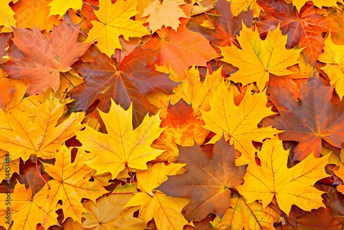Lush and Colorful Autumn Foliage Blanket - Stunning Background with Ample Room for Text