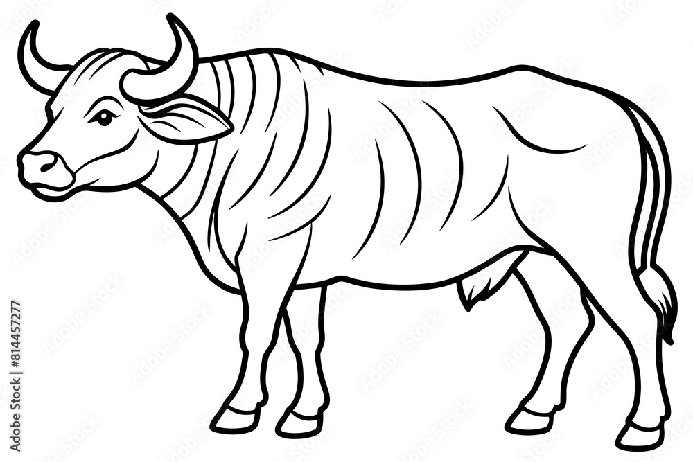 buffalo cartoon vector illustration buffalo cartoon vector illustration
