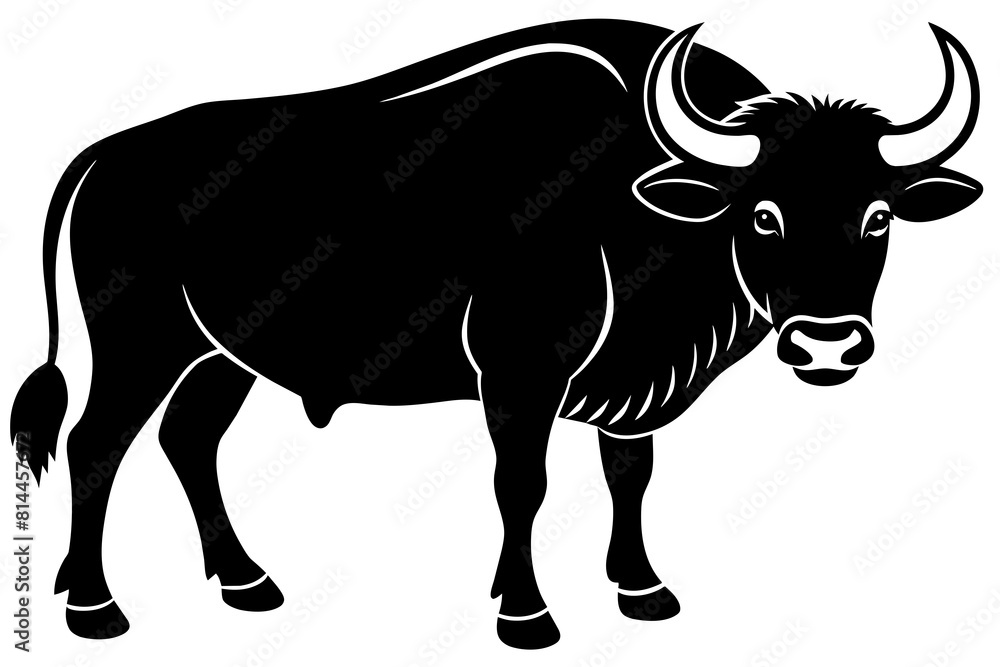 buffalo cartoon vector illustration