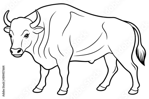 buffalo cartoon vector illustration