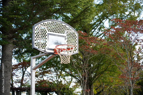 公園にあるバスケットボールのゴール