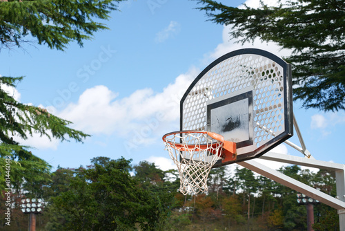 公園にあるバスケットボールのゴール