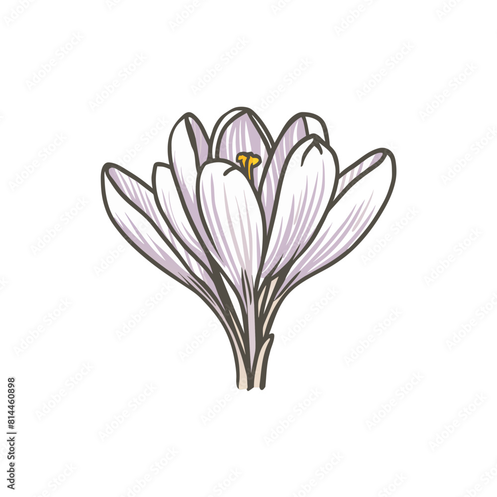 Crocus Doodle Art: Whimsical Flower Sketch for Artistic Designs Crocus Doodle Art: Whimsical Flower Sketch for Artistic Designs