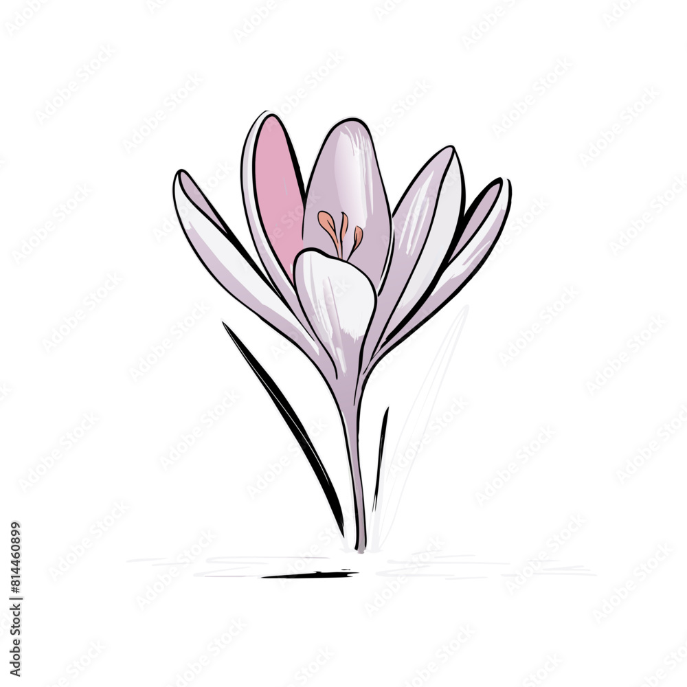 Crocus Doodle Art: Whimsical Flower Sketch for Artistic Designs