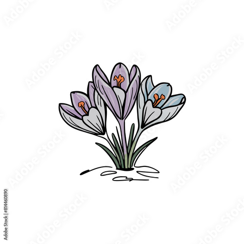 Crocus Doodle Art: Whimsical Flower Sketch for Artistic Designs © Tharindu