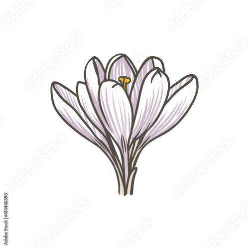 Crocus Doodle Art  Whimsical Flower Sketch for Artistic Designs