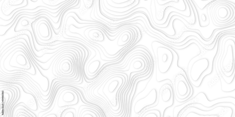 Abstract white paper cut background with lines. Background of the topographic map. Vector white geometric 3d papercut wave carve line element. topographic canyon map light relief texture. Abstract white paper cut background with lines. Background of the topographic map. Vector white geometric 3d papercut wave carve line element. topographic canyon map light relief texture.