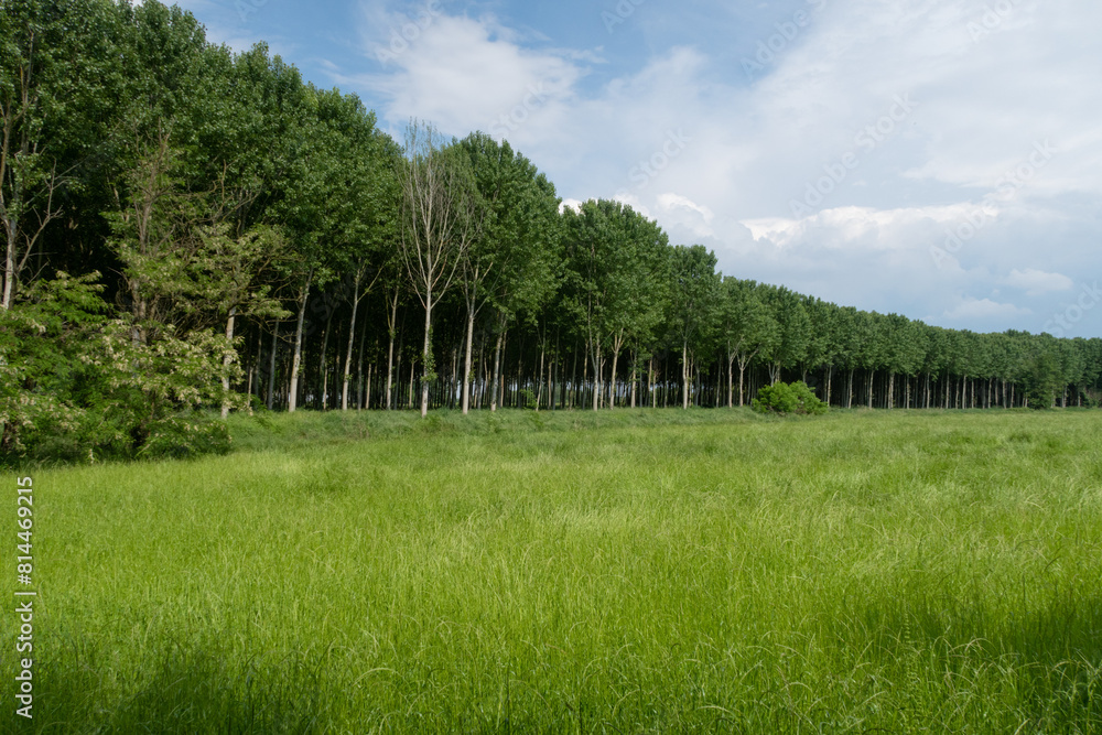 Po Valley
