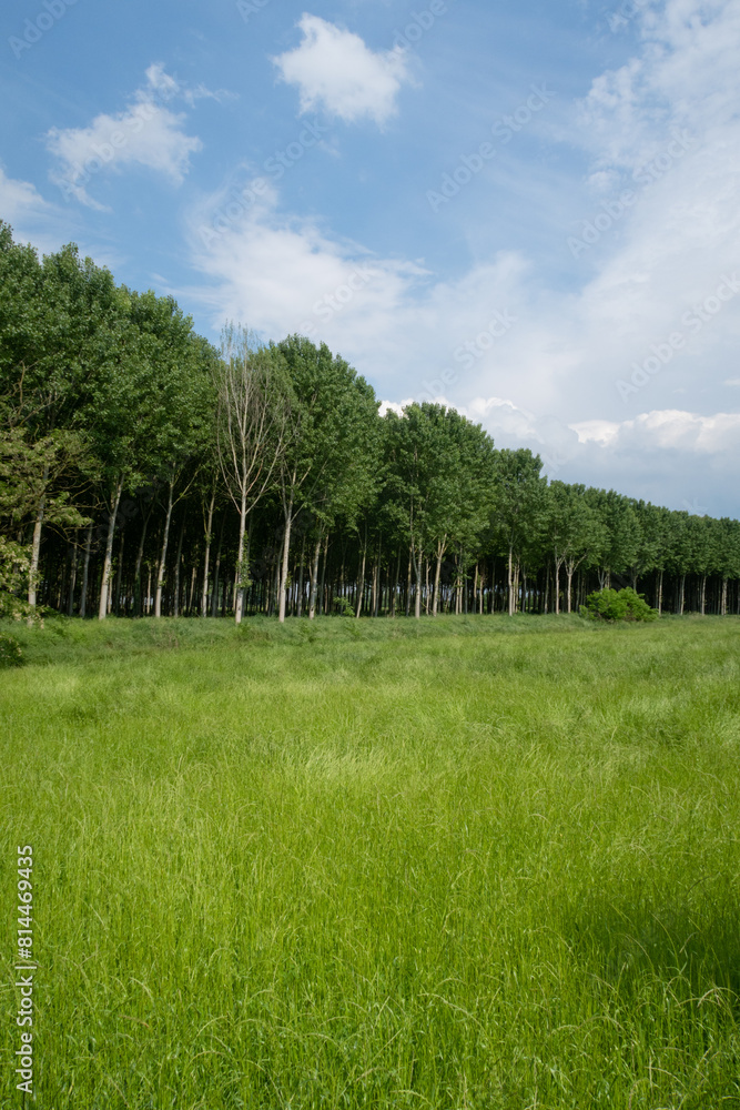 Po Valley