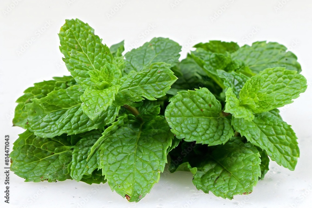 Mint Leaves placed on a clean White Surface Mint Leaves placed on a clean White Surface