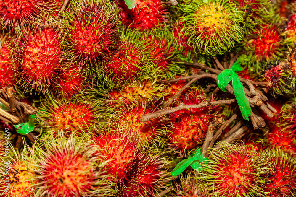Rambutan tropical fruit Rambutan tropical fruit