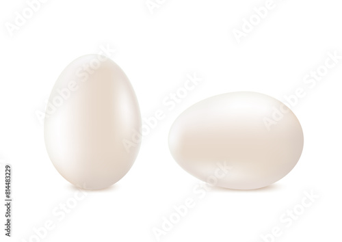 White, whole egg on a white background, protein product, chicken egg. 