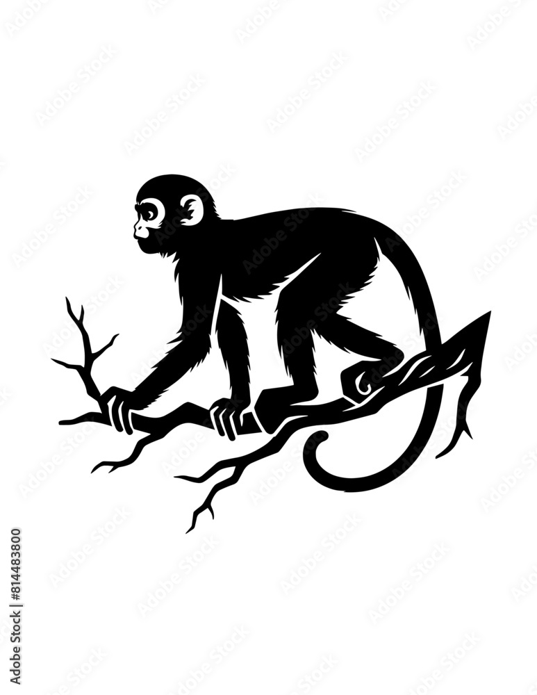 silhouette of monkey silhouette of monkey