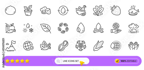 Sunset  Safe planet and Leaf dew line icons for web app. Pack of Leaf  Corn  Potato pictogram icons. Macadamia nut  Strawberry  Leaves signs. Safe water  Peanut  Cold-pressed oil. Search bar. Vector