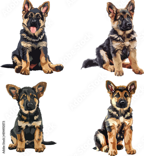 A german shepherd puppy is sitting down, clipart, vector illustration, Gsd vector