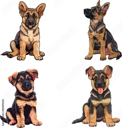 A german shepherd puppy is sitting down, clipart, vector illustration, Gsd vector