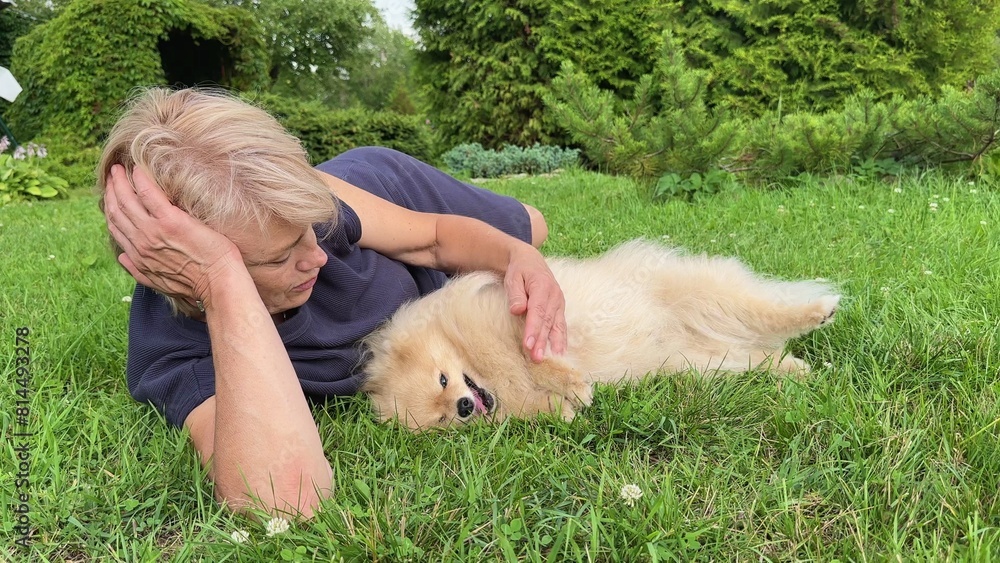 Beautiful elderly senior woman playing with her dog, Pomeranian Spitz puppy lying on grass at summer day Beautiful elderly senior woman playing with her dog, Pomeranian Spitz puppy lying on grass at summer day