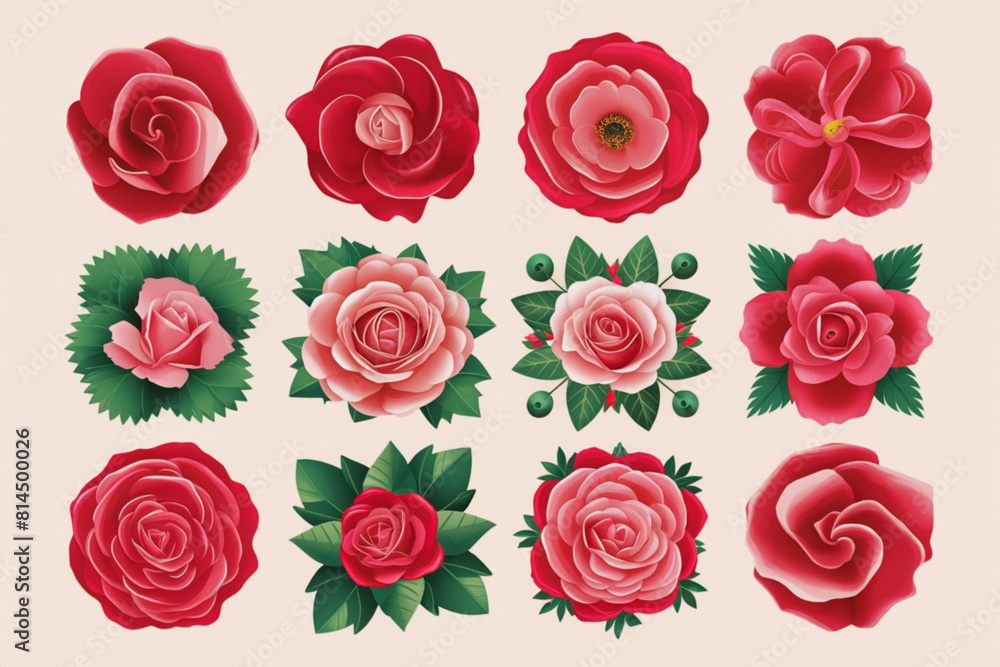 A set of beautiful pink roses A set of beautiful pink roses