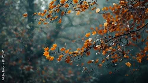 Whispers of wind rustling through leaves wallpaper