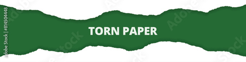 Torn paper ripped white color edges, empty, blank, green background sheets web long banner design vector illustration
