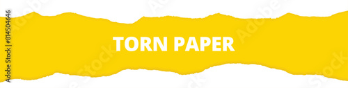 Torn paper ripped white color edges, empty, blank, yellow background sheets web long banner design vector illustration