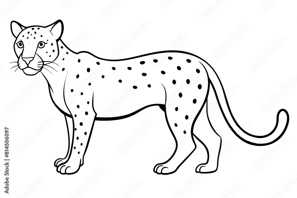 jaguar cartoon vector illustration jaguar cartoon vector illustration
