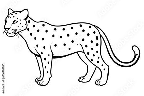  jaguar cartoon vector illustration