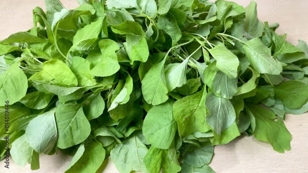A bunch of young spinach leaves for cooking on a wooden table A bunch of young spinach leaves for cooking on a wooden table