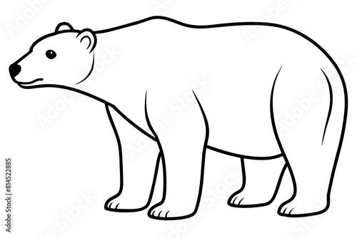 polar bear line art silhouette vector illustration