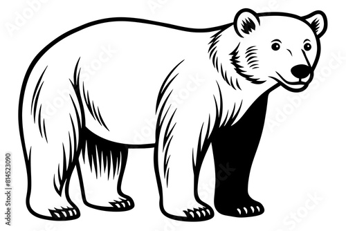 polar bear line art silhouette vector illustration