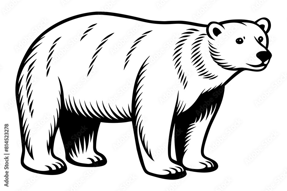 polar bear line art silhouette vector illustration polar bear line art silhouette vector illustration