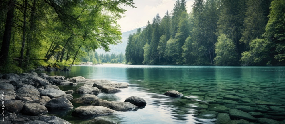 Naklejka premium European forest lake with a picturesque landscape as seen in the copy space image