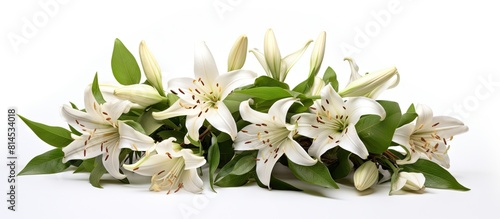 A charming bouquet of small Tricyrtis toad lilies beautifully displayed against a white background It features a photo with plenty of empty space for text making it perfect for cards invitations or p photo