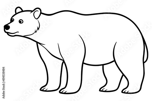  black bear line art vector illustration