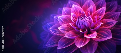The cartoonish image features a vibrant flower showcasing shades of magenta pink purple and violet The visual provides ample copy space for additional elements