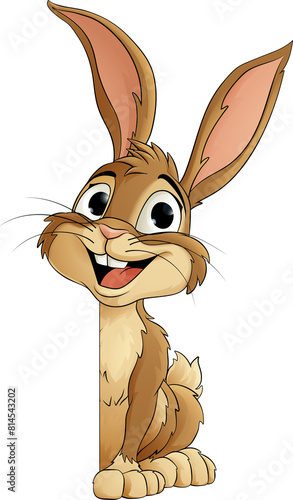 Easter Bunny Rabbit Peeking...