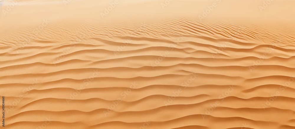 Top view of a sandy beach with a sand texture providing a copy space image Top view of a sandy beach with a sand texture providing a copy space image