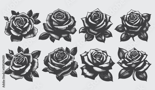 Rose silhouette vector collection