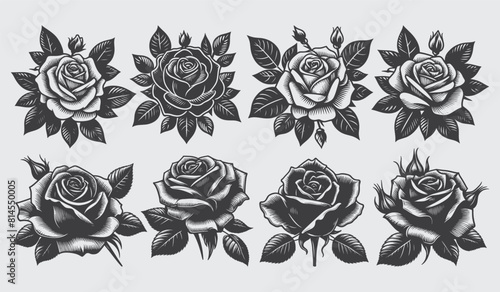 Rose silhouette vector collection © Babla