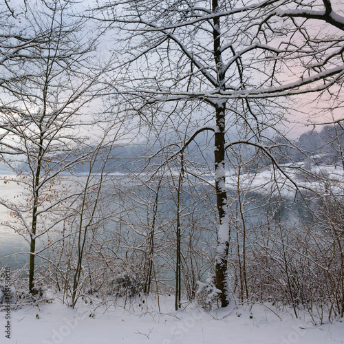 Bäume mit Schnee am Ufer des Hennesee, Hennetalsperre, Naturpark Sauerland-Rothaargebirge, Meschede, Sauerland, Nordrhein-Westfalen, Deutschland, Europa