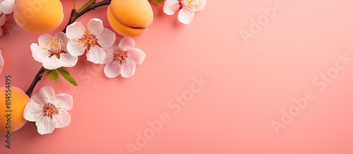 The copy space image showcases a fresh apricot on a vibrant pink background creating a contemporary summer pattern in a flat lay style