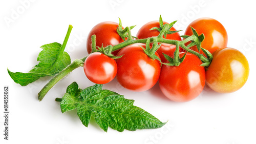 Fresh Tomatoes with green leaves. Tomato vegetables brunch. Vegetable isolated on white background. Organic natural farm grown food harvest © Yasonya