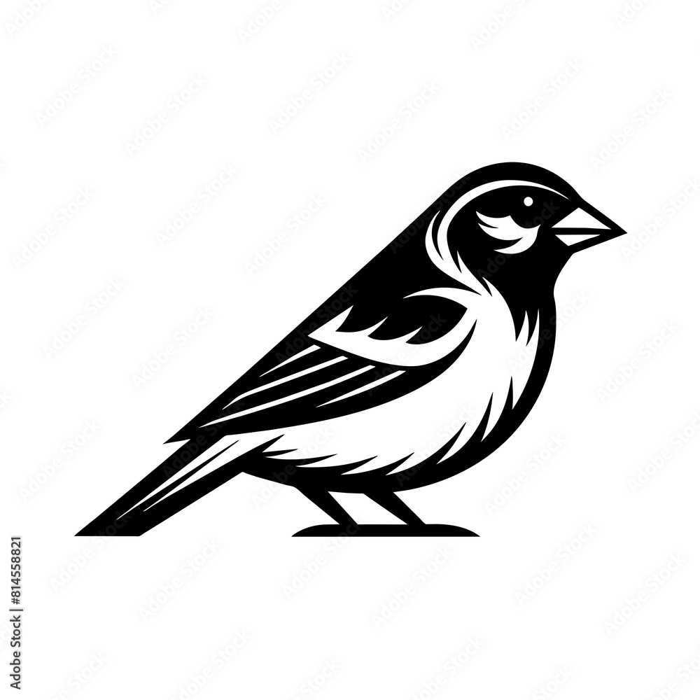 bird silhouette isolated on white bird silhouette isolated on white