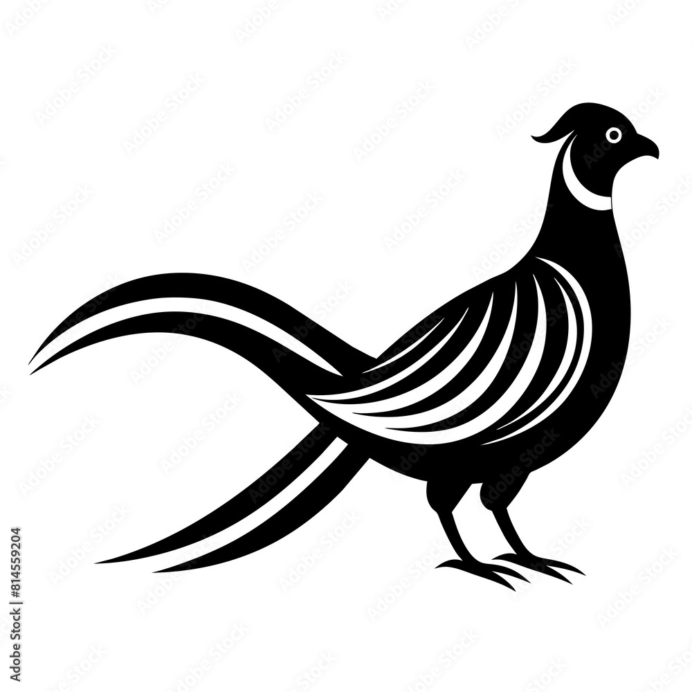 illustration of a pheasant bird illustration of a pheasant bird