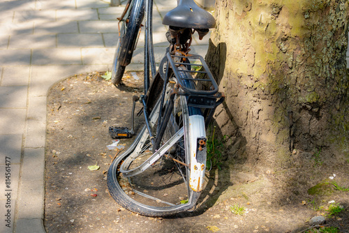 Selective focus of bicycle back wheel with leak air, Low angle of bicycle parked under the tree trunk with flat tire bike, Netherlands, Cycling is a common mode of transport in the Holland.