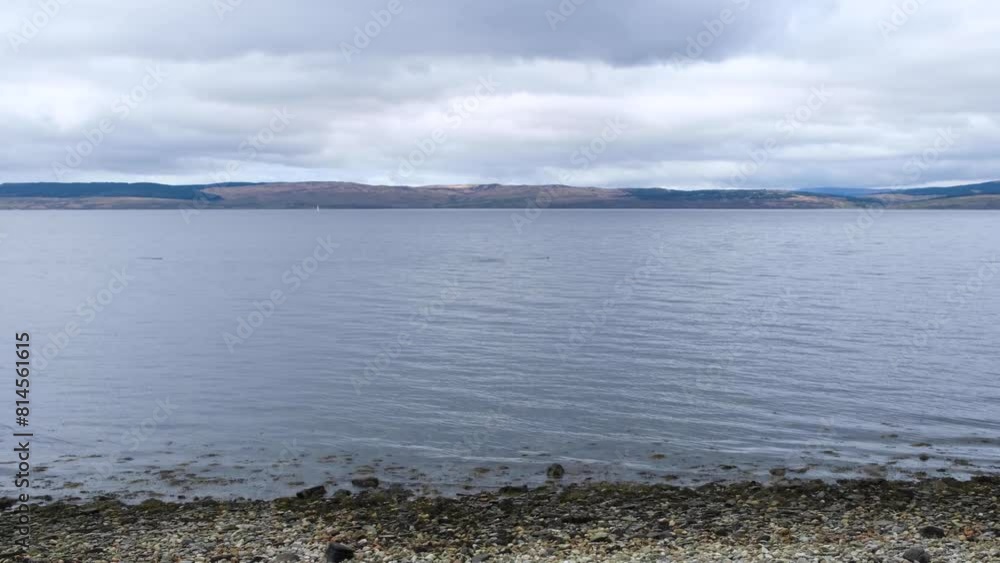 Standing on the shoreline watching a pod of dolphins swimming in the shallows on the Isle of Arran, Western Scotland UK Standing on the shoreline watching a pod of dolphins swimming in the shallows on the Isle of Arran, Western Scotland UK