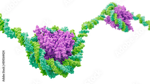 Nucleosome structure, illustration photo