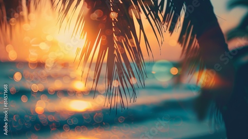 A palm tree is shown with the sun setting in the background